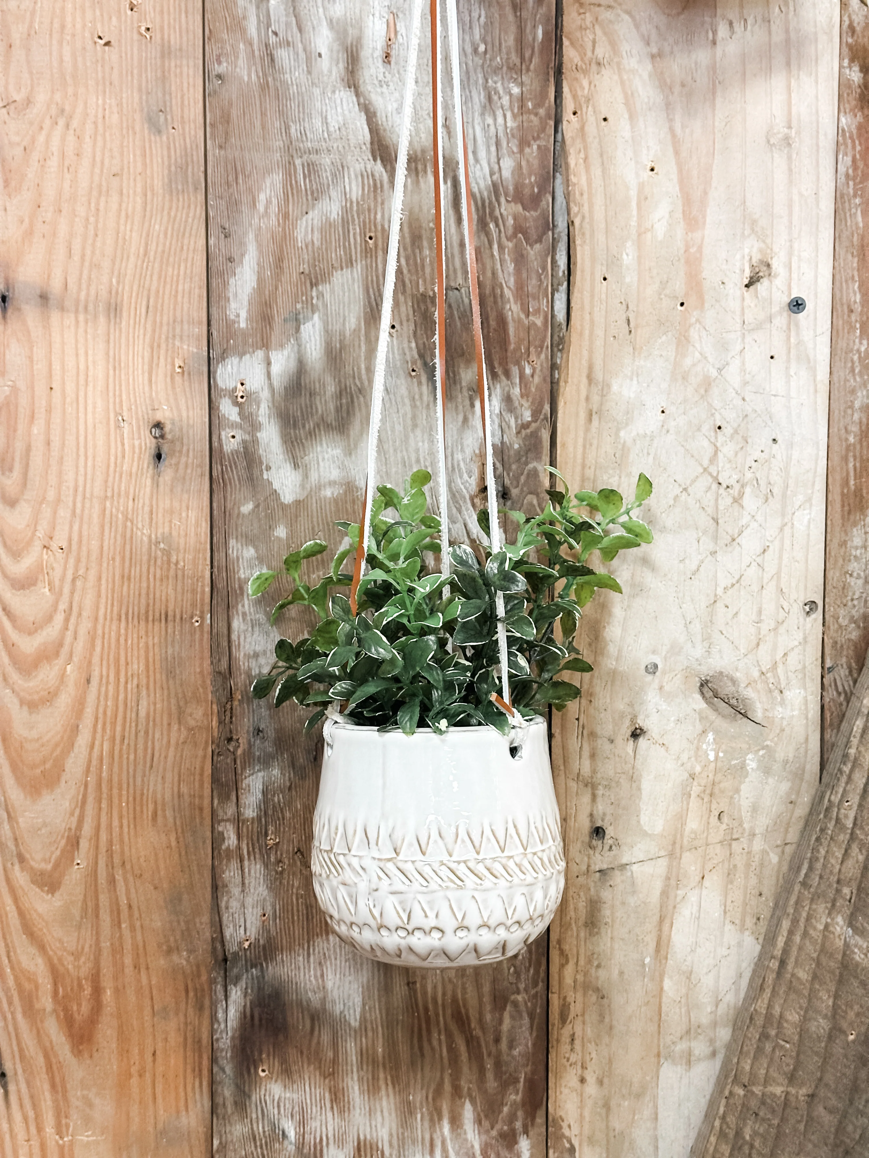 Hanging Ceramic Patterned Planter
